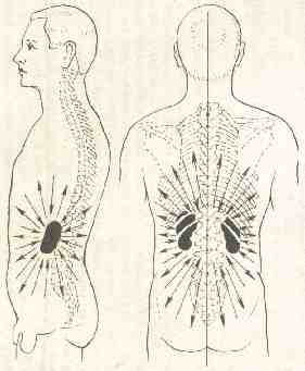 �������� - ����� �������� � ���������