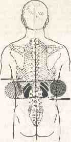 �������� - ����� �������� � ���������