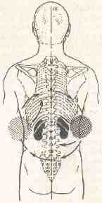 �������� - ����� �������� � ���������