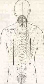 �������� - ����� �������� � ���������