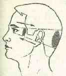 �������� - ����� �������� � ���������