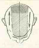 �������� - ����� �������� � ���������