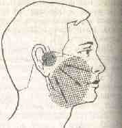 �������� - ����� �������� � ���������