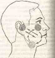 �������� - ����� �������� � ���������