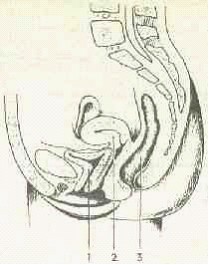 �������� - ����� �������� � ���������