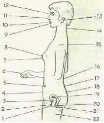 �������� - ����� �������� � ���������