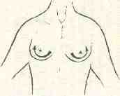 �������� - ����� �������� � ���������