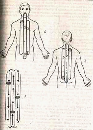 �������� - ����� �������� � ���������