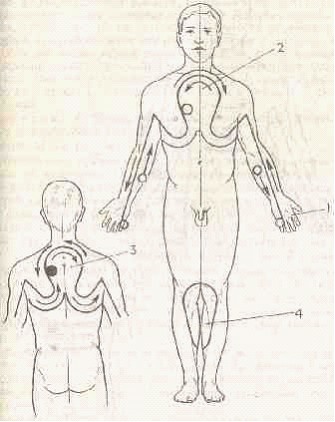 �������� - ����� �������� � ���������