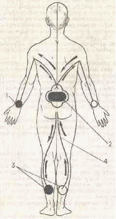 �������� - ����� �������� � ���������