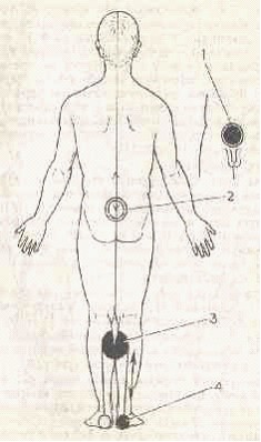 �������� - ����� �������� � ���������