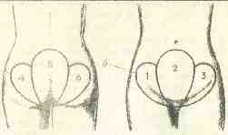 �������� - ����� �������� � ���������