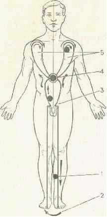 �������� - ����� �������� � ���������