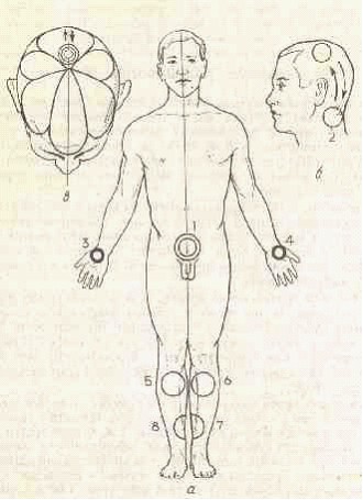 �������� - ����� �������� � ���������