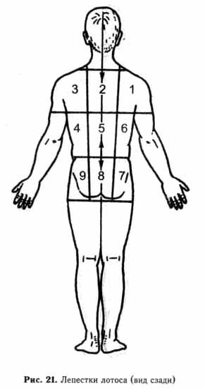 �������� - ����� ���������. ������ � ��������� � ��������