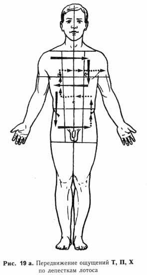 �������� - �������������� ��������