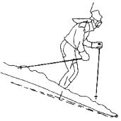 ������� ��������