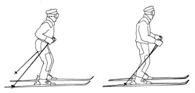 �������� ��������� �����