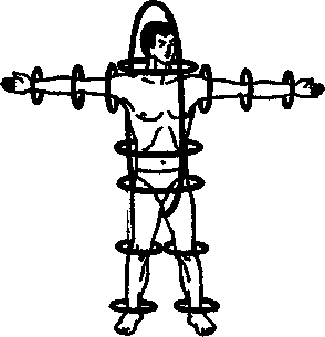 ������ -  ������������ ������� �������. �������