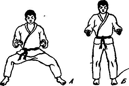 ������ -  ������������ ������� �������. �������