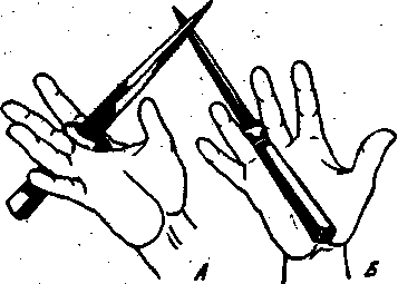 ������ -  ������������ ������� �������. �������