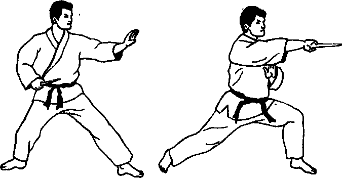 ������ -  ������������ ������� �������. �������