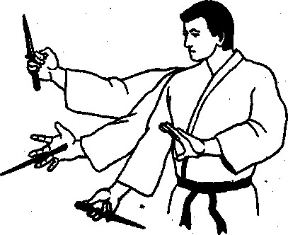 ������ -  ������������ ������� �������. �������