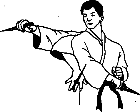 ������ -  ������������ ������� �������. �������