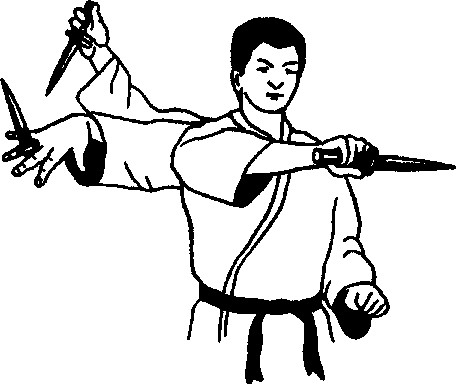 ������ -  ������������ ������� �������. �������