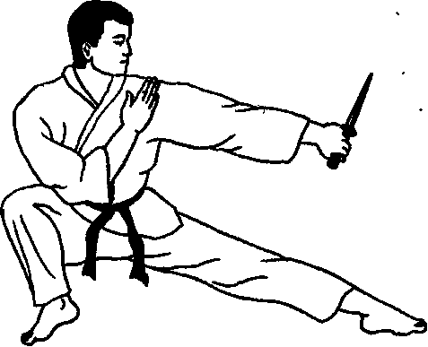 ������ -  ������������ ������� �������. �������