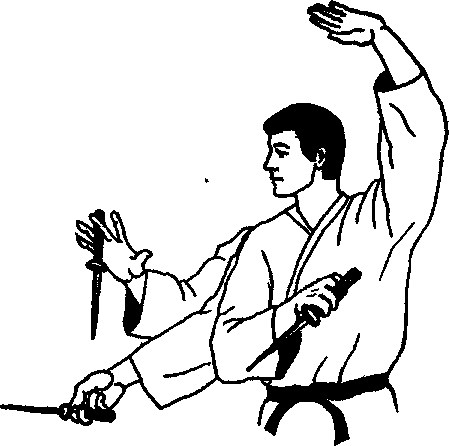 ������ -  ������������ ������� �������. �������