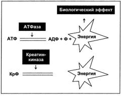 ������� - ������� ��� ������������