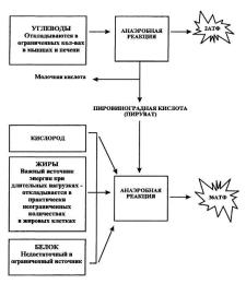 ������� - ������� ��� ������������