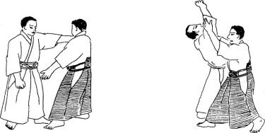 �������� - ���� ����� (�������� ����)