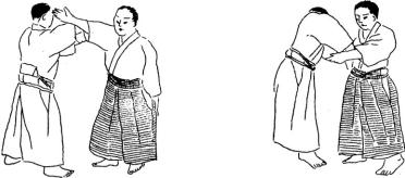 �������� - ���� ����� (�������� ����)