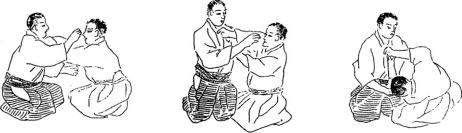 �������� - ���� ����� (�������� ����)