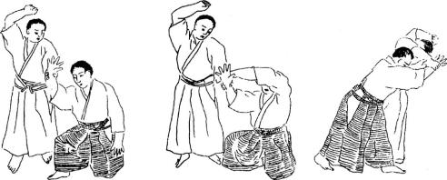 �������� - ���� ����� (�������� ����)