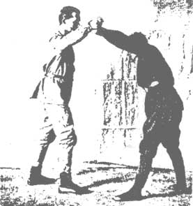 ����������