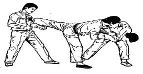 ������� - ������� ���������� �� ����� ���