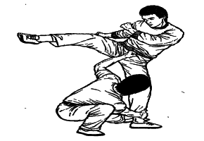 ������� - ������� ���������� �� ����� ���