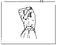 ������ - �����. ������������ ����������� �� ����������� ���