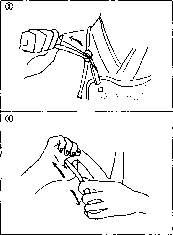 ������ - �����. ������������ ����������� �� ����������� ���