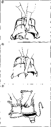 ������ - �����. ������������ ����������� �� ����������� ���