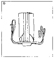 ������ - �����. ������������ ����������� �� ����������� ���