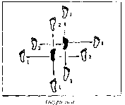 ������ - �����. ������������ ����������� �� ����������� ���