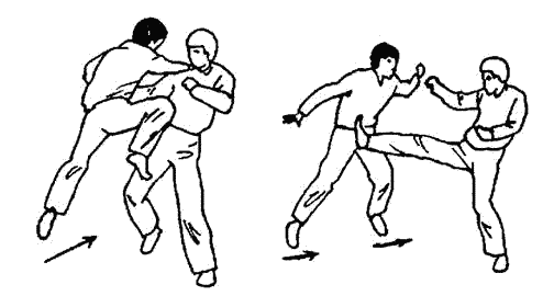 �������� - ������ ������. ����������� �� ����������