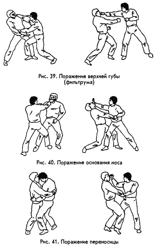 �������� - ������ ������. ����������� �� ����������