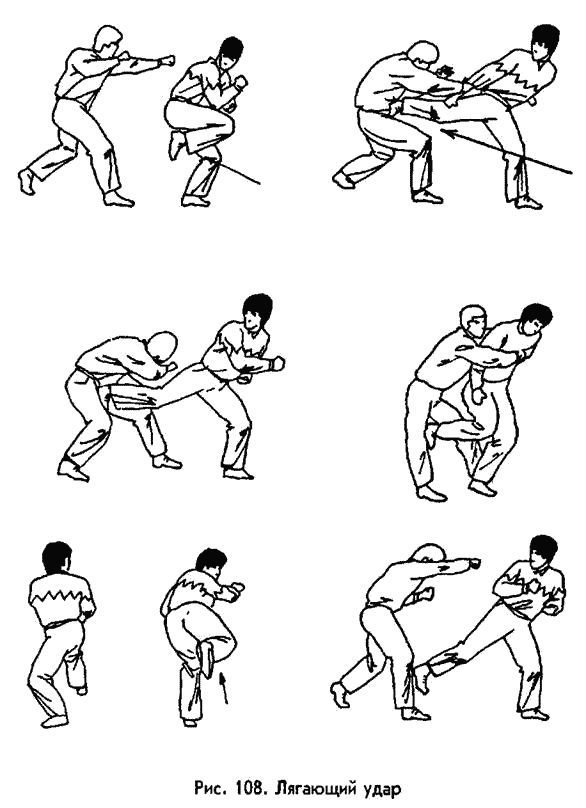 �������� - ������ ������. ����������� �� ����������