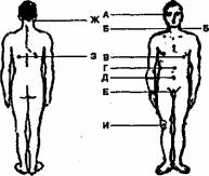 ����� - ������� �������� ���