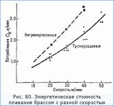 Максимальное потребление кислорода